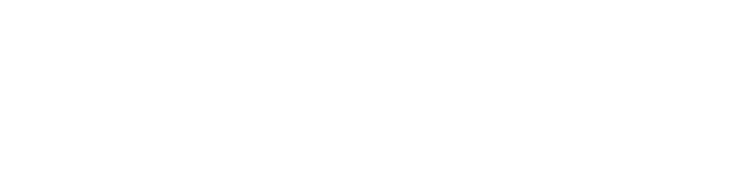 Viwit